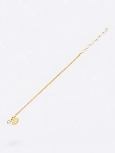 Santorin Zaman Kapsülü Bileklik (316L Paslanmaz Çelik) Gold - Text To Next